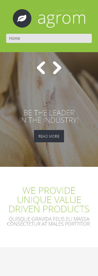 WordPress Themes - GoWebBaby.Com