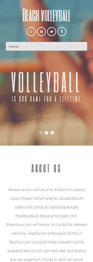 WordPress Themes - GoWebBaby.Com