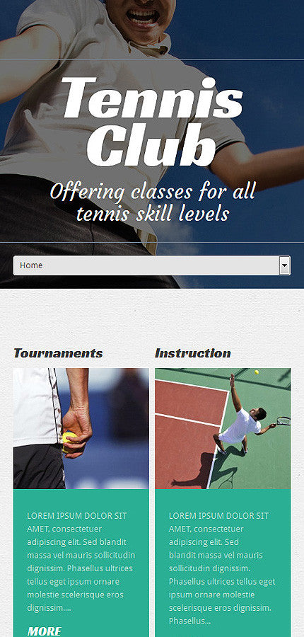 WordPress Themes - GoWebBaby.Com