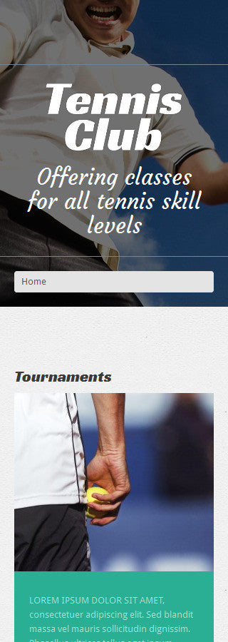 WordPress Themes - GoWebBaby.Com