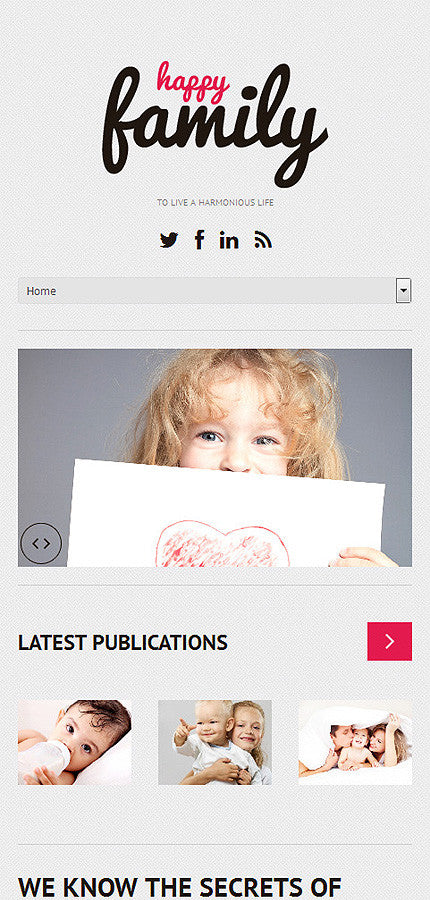 WordPress Themes - GoWebBaby.Com