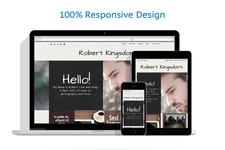 WordPress Themes - GoWebBaby.Com