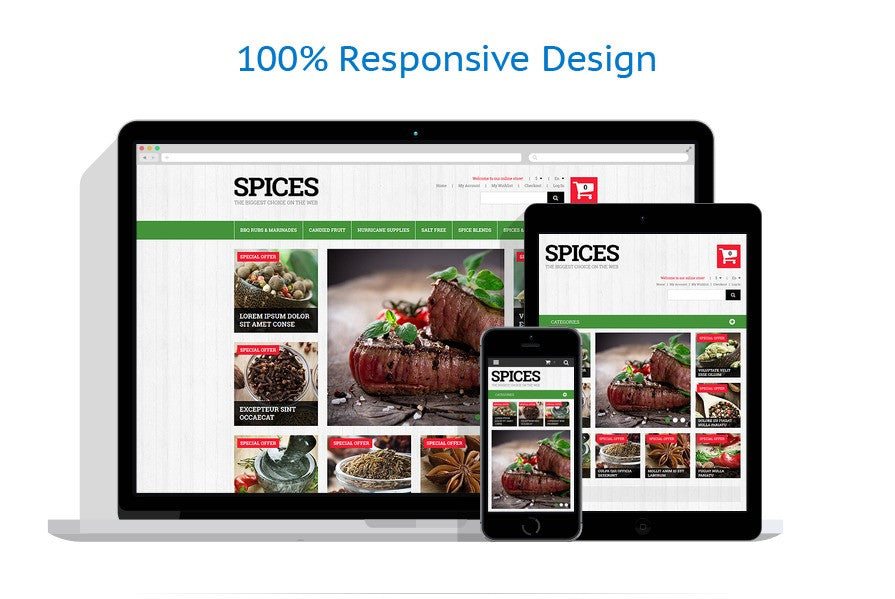 Magento Themes - GoWebBaby.Com