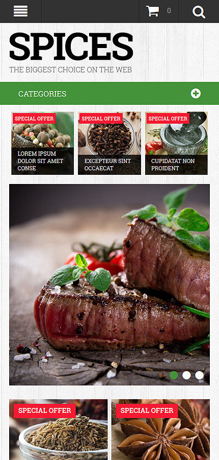 Magento Themes - GoWebBaby.Com