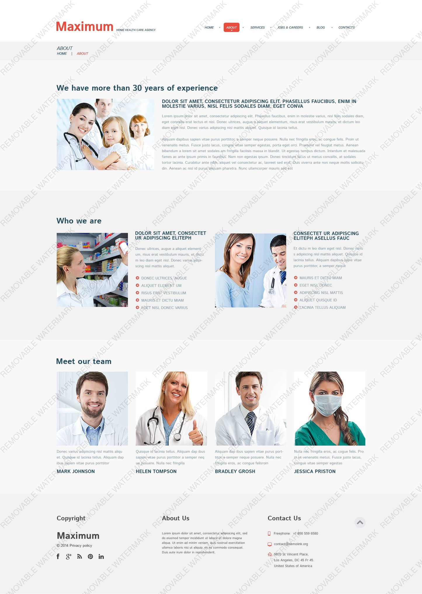 WordPress Themes - GoWebBaby.Com