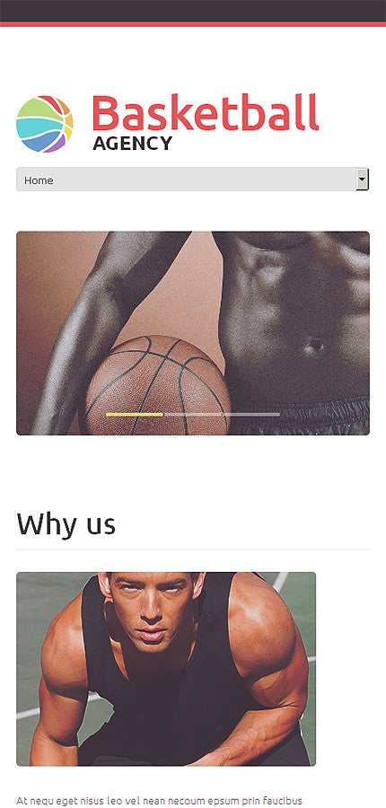 WordPress Themes - GoWebBaby.Com