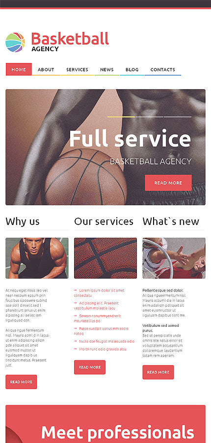 WordPress Themes - GoWebBaby.Com