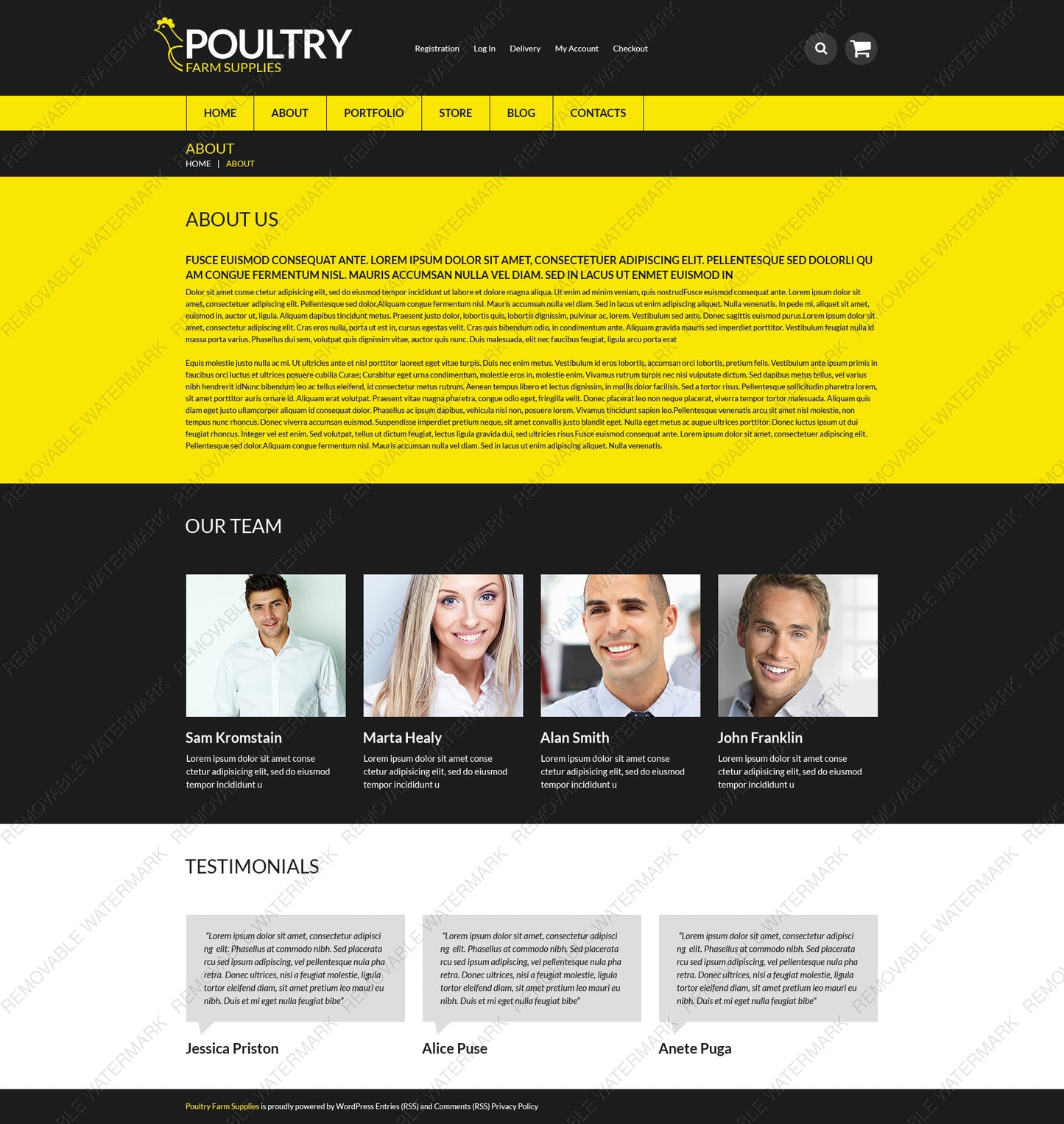 WooCommerce Themes - GoWebBaby.Com