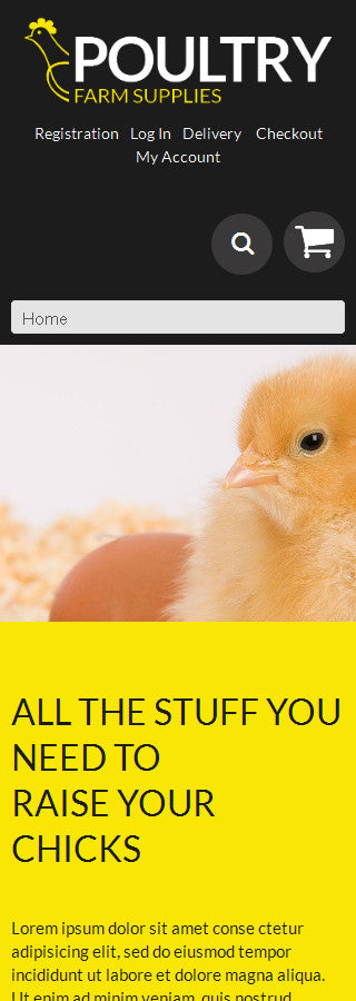 WooCommerce Themes - GoWebBaby.Com