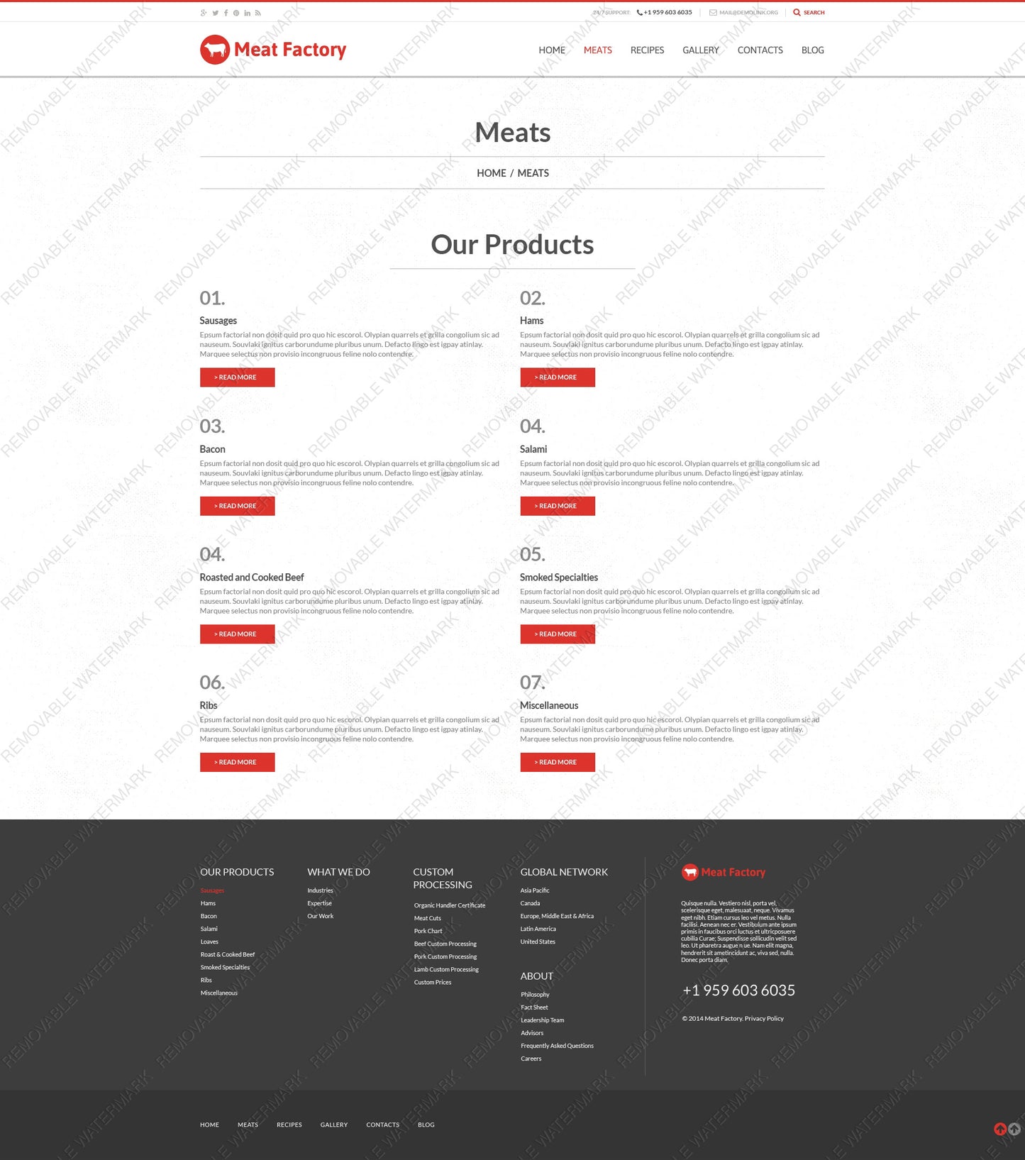 WordPress Themes - GoWebBaby.Com