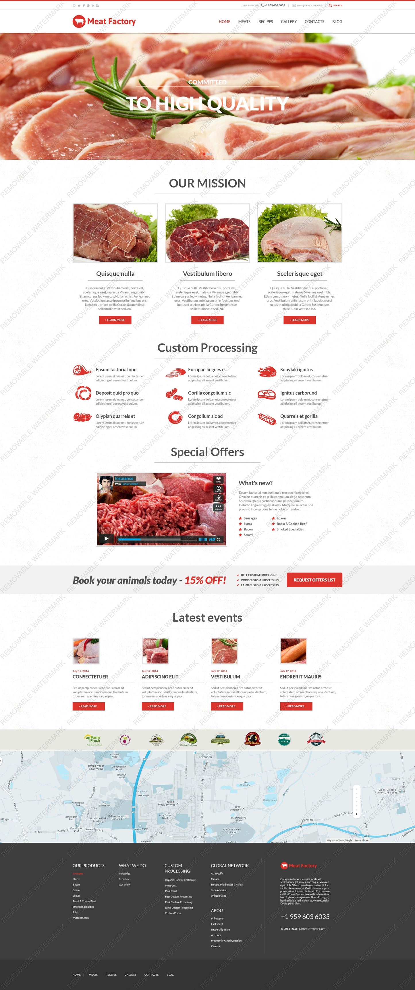 WordPress Themes - GoWebBaby.Com