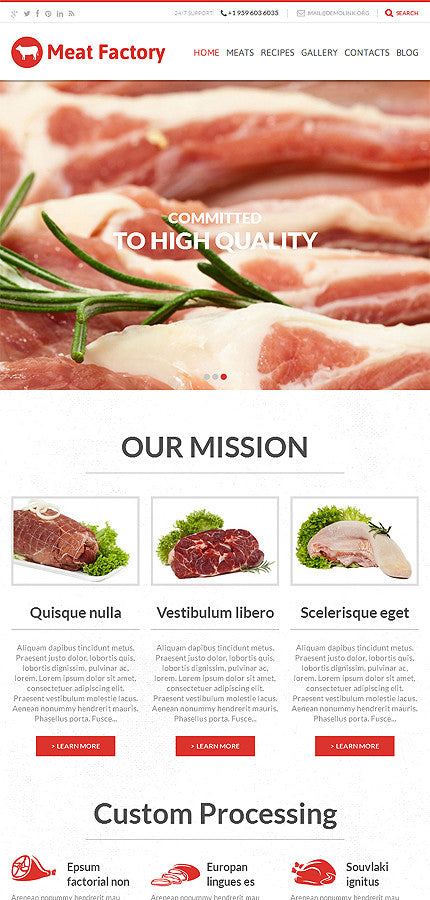 WordPress Themes - GoWebBaby.Com
