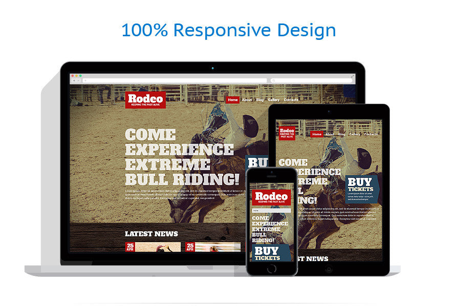 WordPress Themes - GoWebBaby.Com