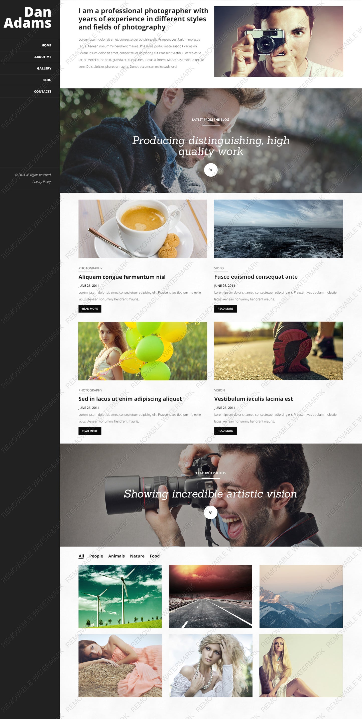 WordPress Themes - GoWebBaby.Com