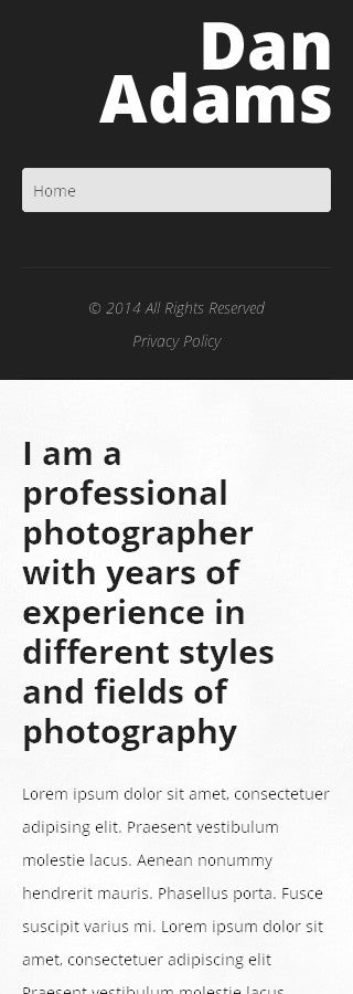 WordPress Themes - GoWebBaby.Com