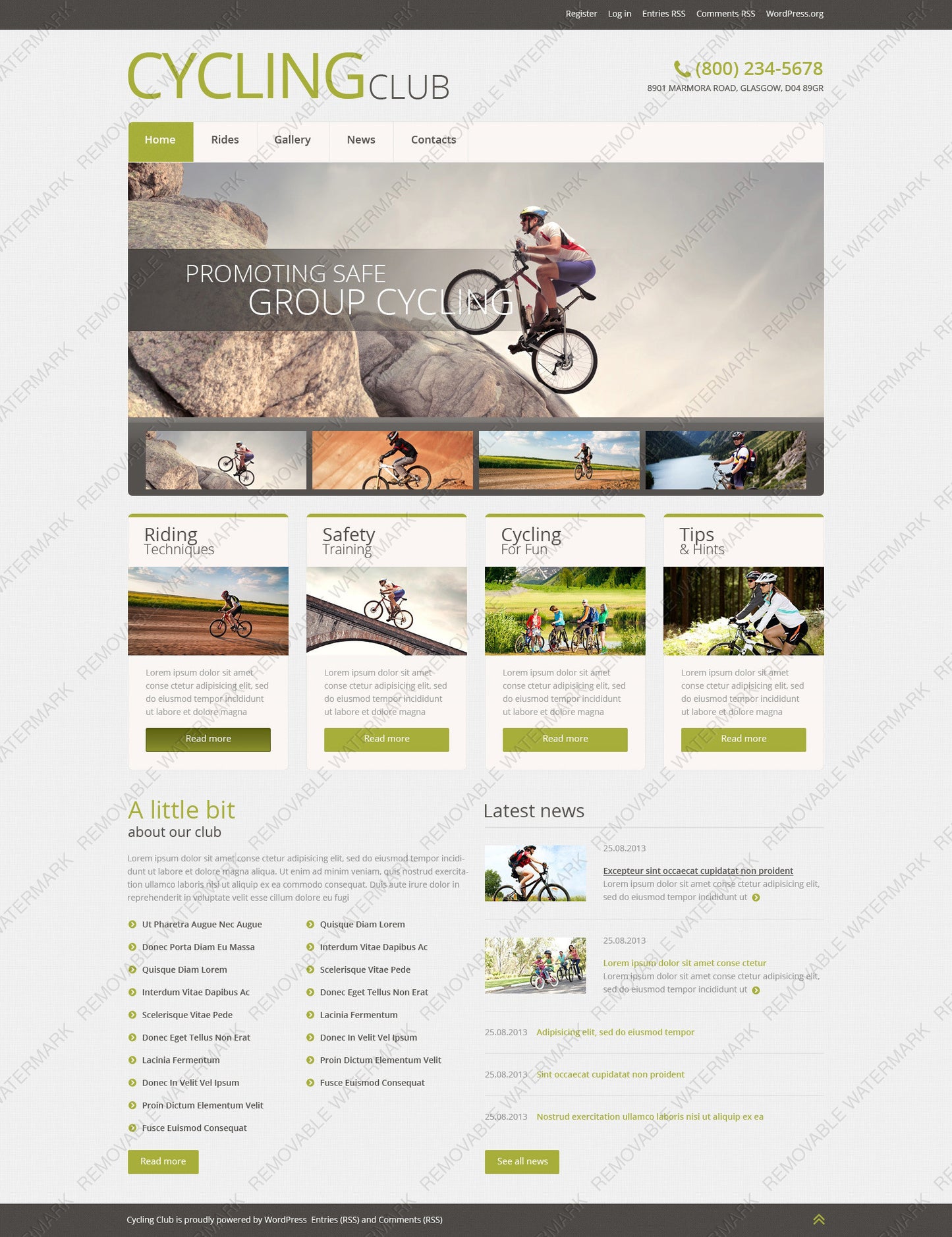 WordPress Themes - GoWebBaby.Com