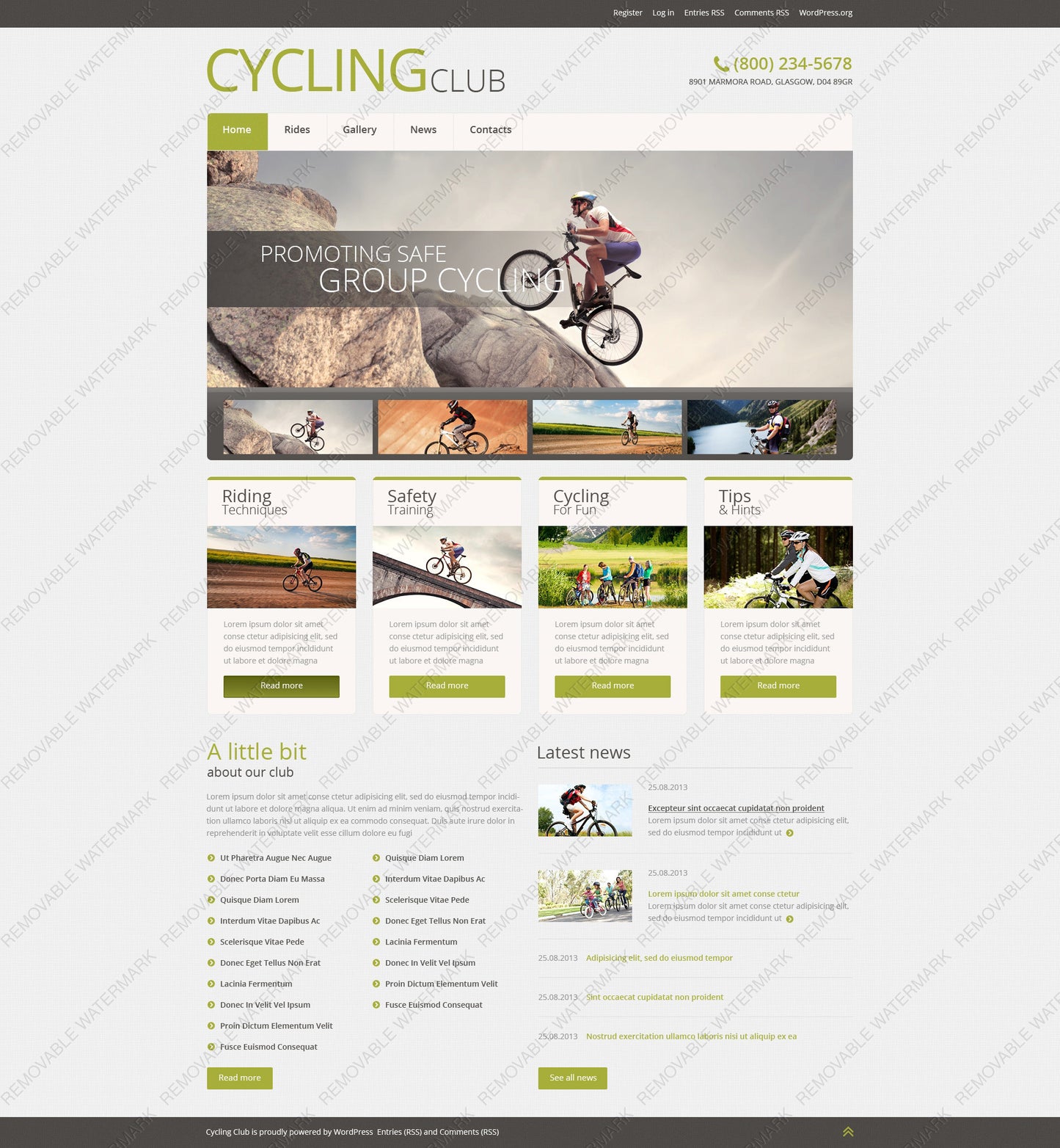 WordPress Themes - GoWebBaby.Com