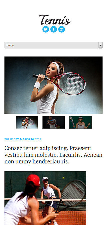 WordPress Themes - GoWebBaby.Com