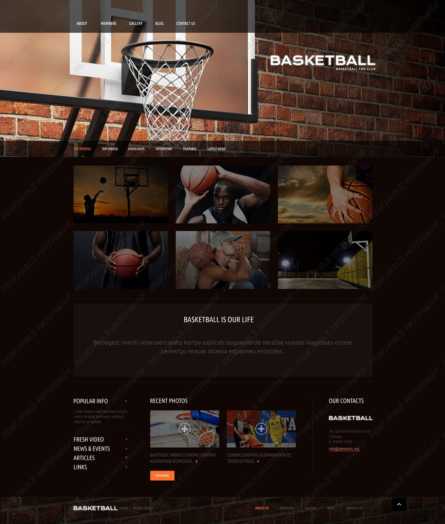 WordPress Themes - GoWebBaby.Com