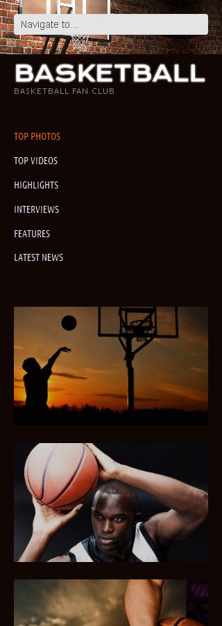 WordPress Themes - GoWebBaby.Com