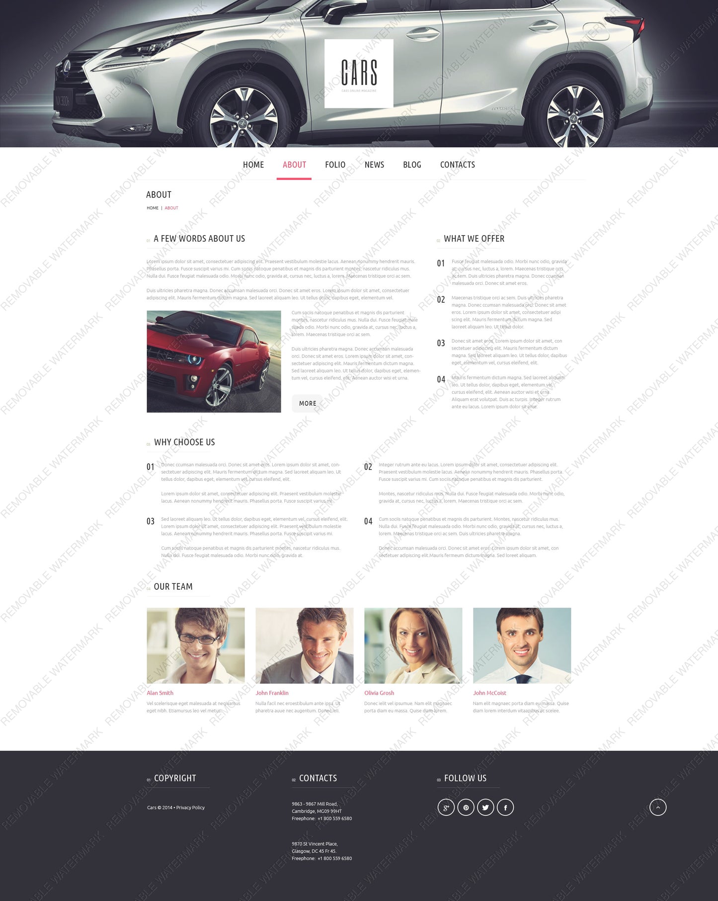 WordPress Themes - GoWebBaby.Com