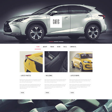 WordPress Themes - GoWebBaby.Com