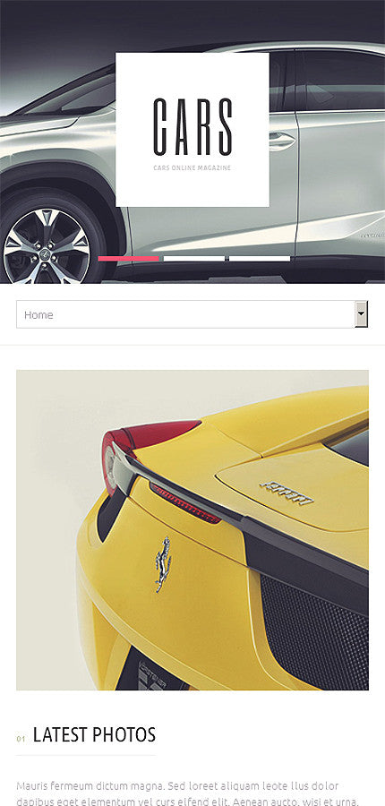 WordPress Themes - GoWebBaby.Com