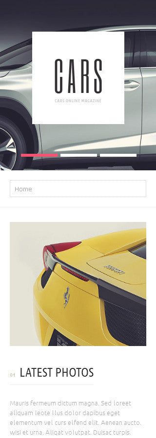 WordPress Themes - GoWebBaby.Com