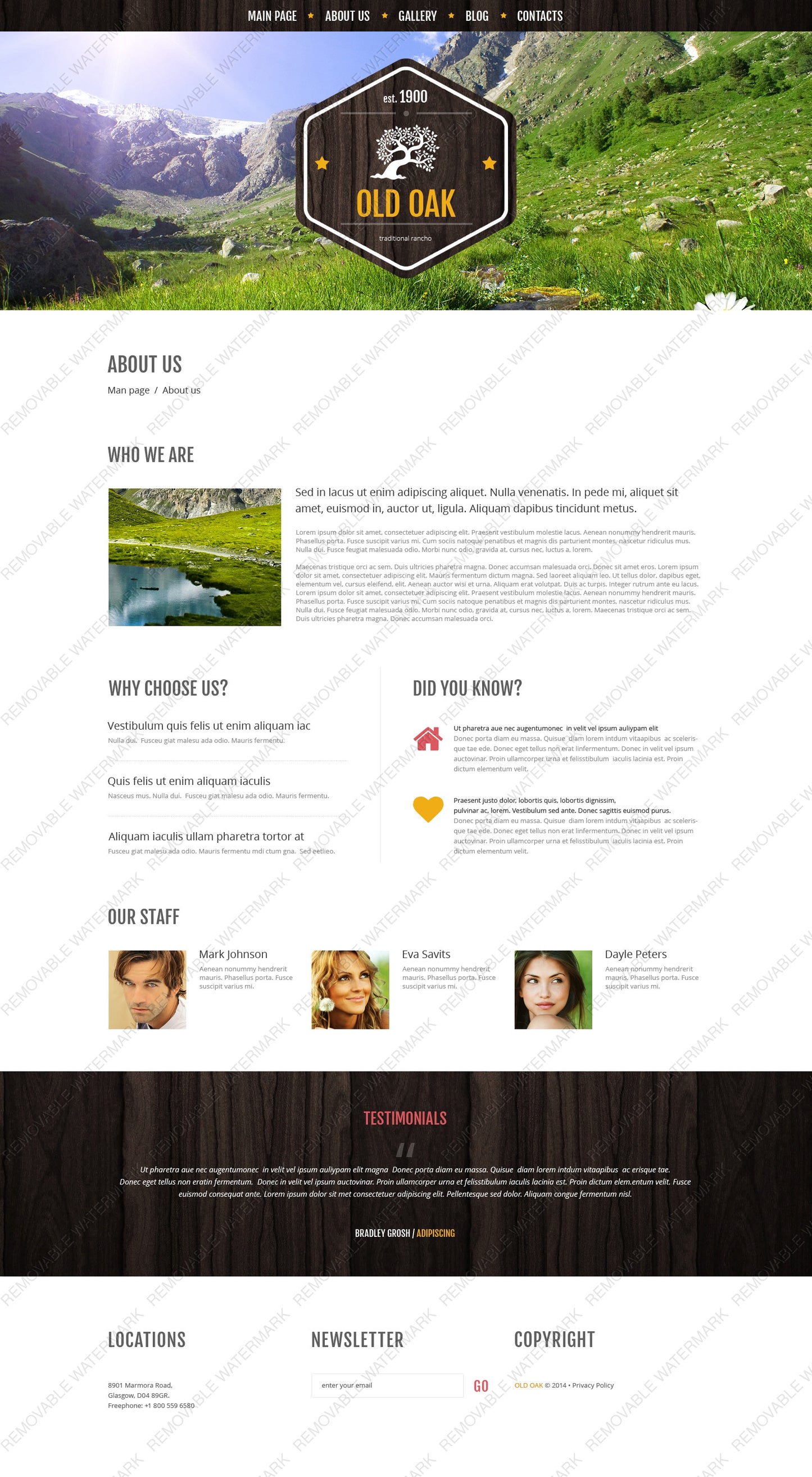 WordPress Themes - GoWebBaby.Com
