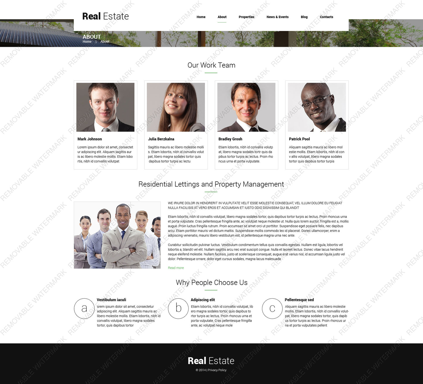 WordPress Themes - GoWebBaby.Com