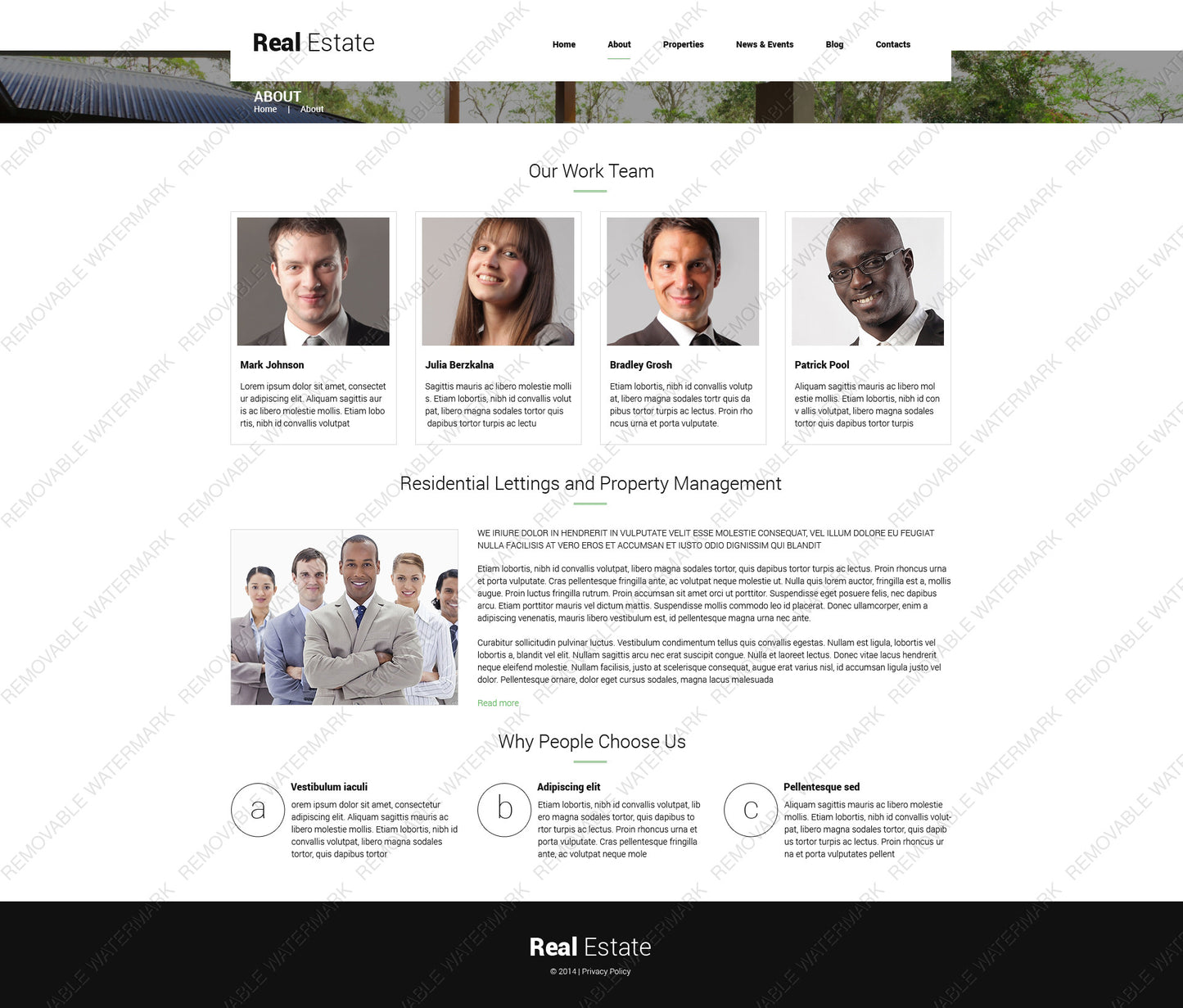 WordPress Themes - GoWebBaby.Com