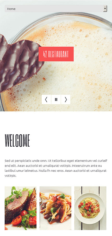 WordPress Themes - GoWebBaby.Com