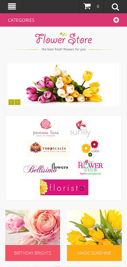 Magento Themes - GoWebBaby.Com