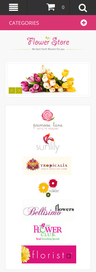 Magento Themes - GoWebBaby.Com