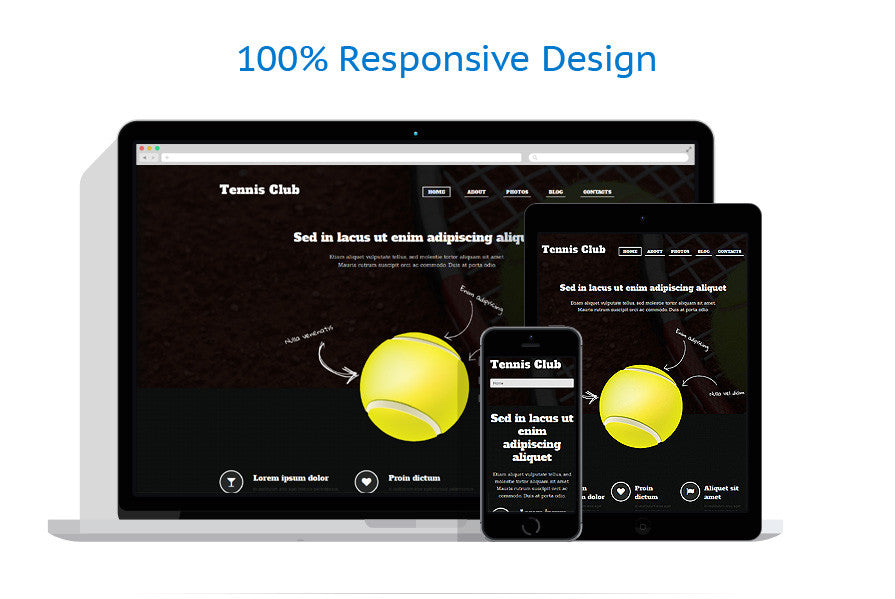 WordPress Themes - GoWebBaby.Com
