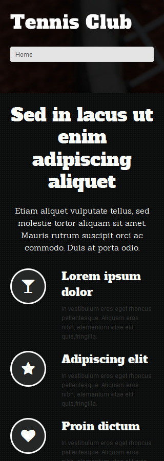 WordPress Themes - GoWebBaby.Com