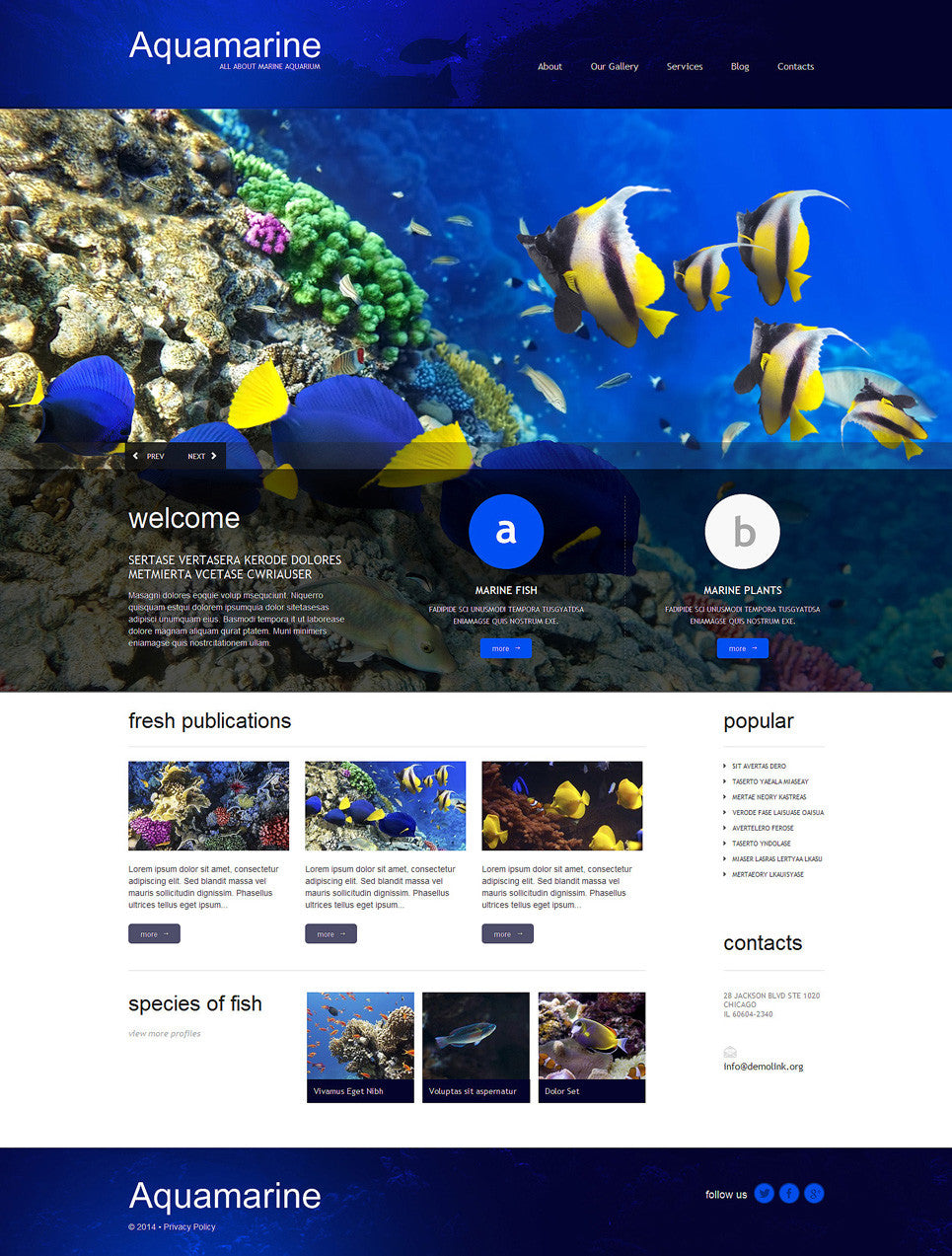 WordPress Themes - GoWebBaby.Com