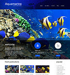 WordPress Themes - GoWebBaby.Com