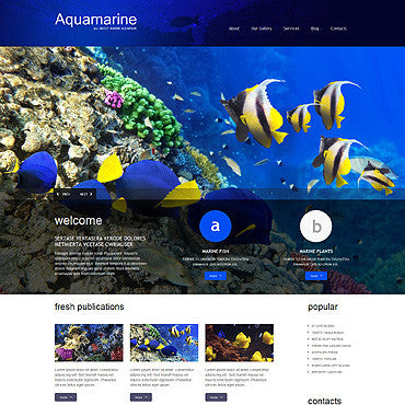 WordPress Themes - GoWebBaby.Com