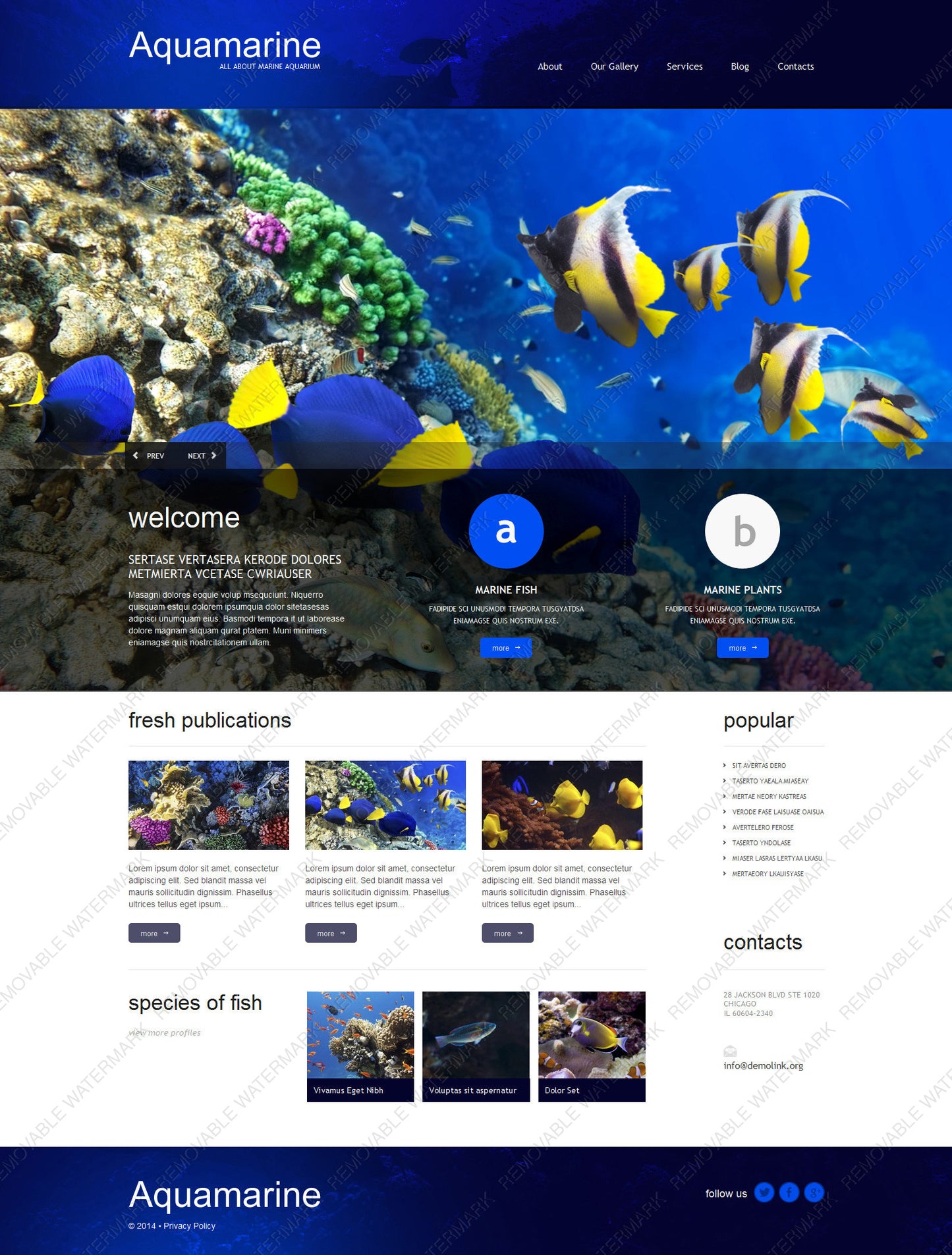 WordPress Themes - GoWebBaby.Com