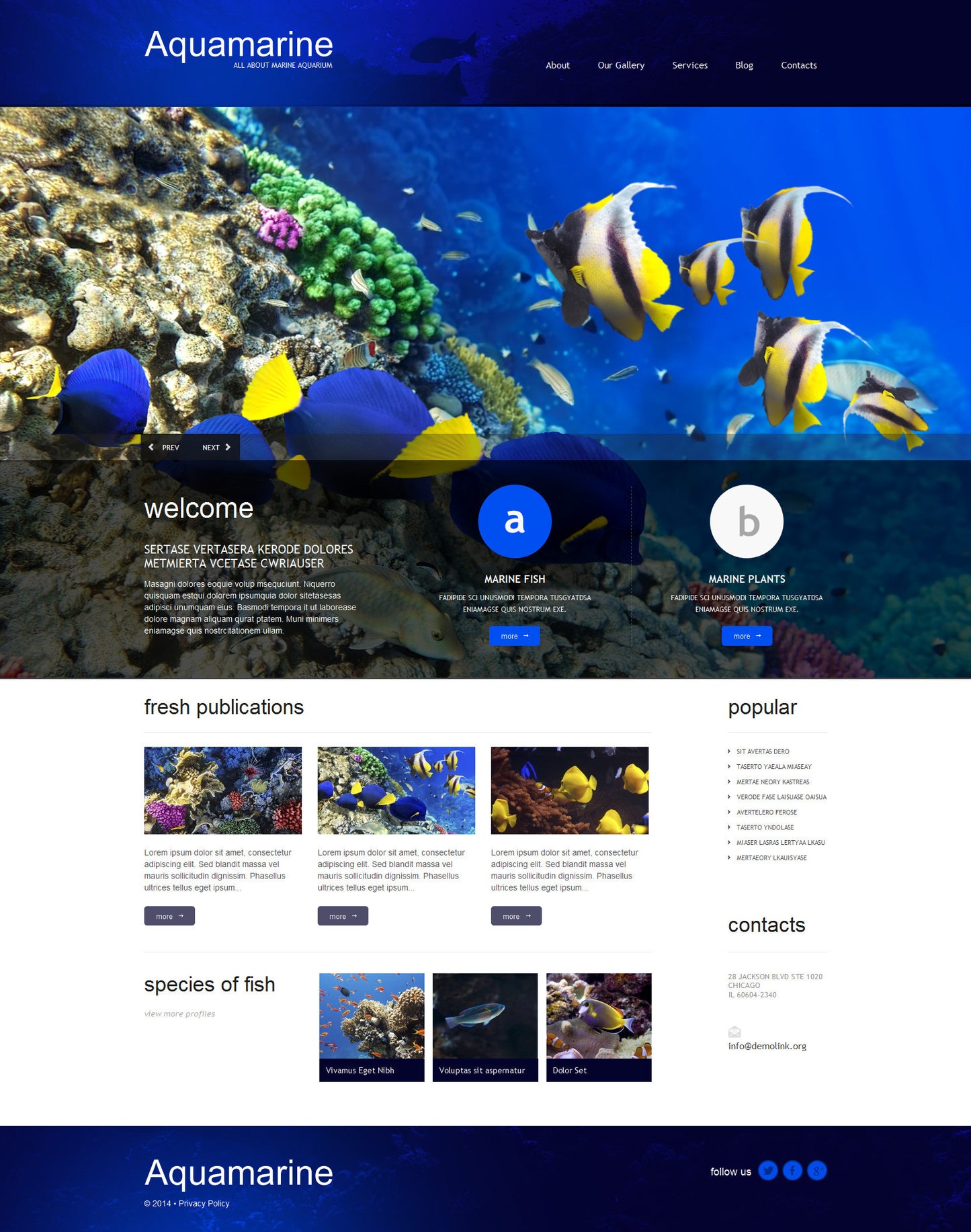 WordPress Themes - GoWebBaby.Com