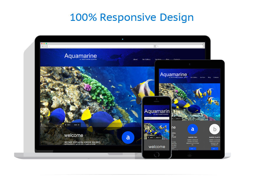 WordPress Themes - GoWebBaby.Com