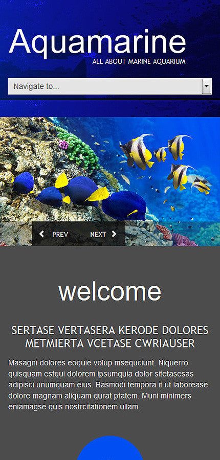 WordPress Themes - GoWebBaby.Com