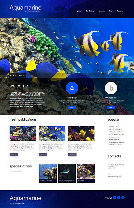 WordPress Themes - GoWebBaby.Com