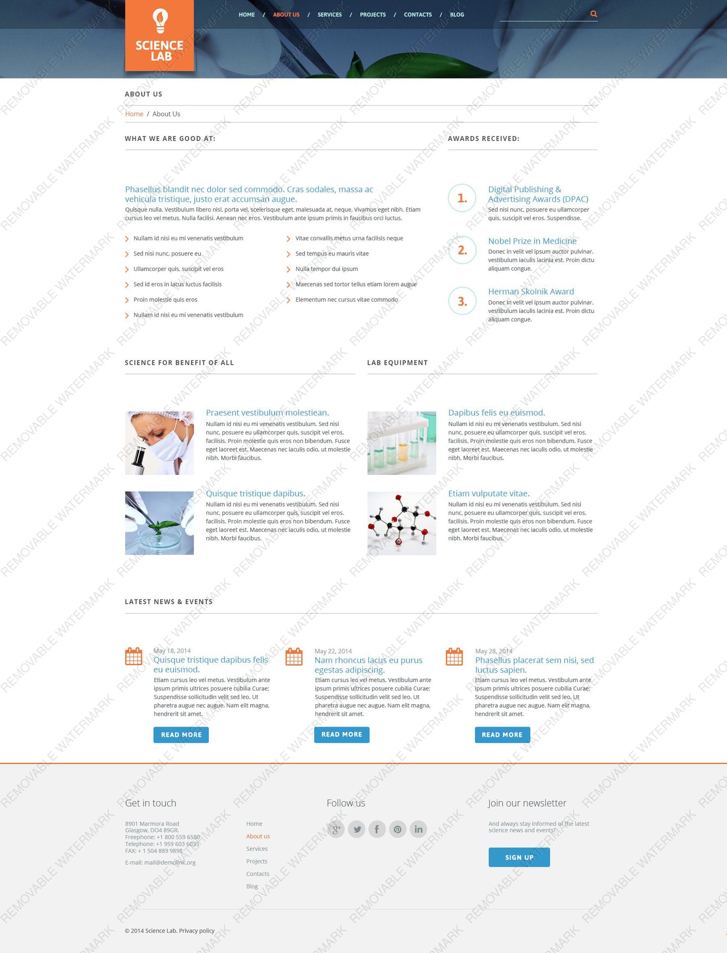 WordPress Themes - GoWebBaby.Com