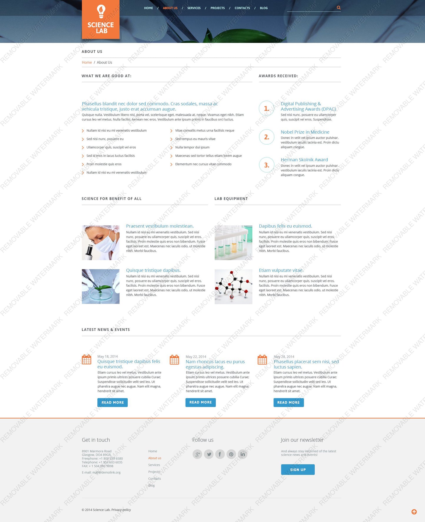 WordPress Themes - GoWebBaby.Com