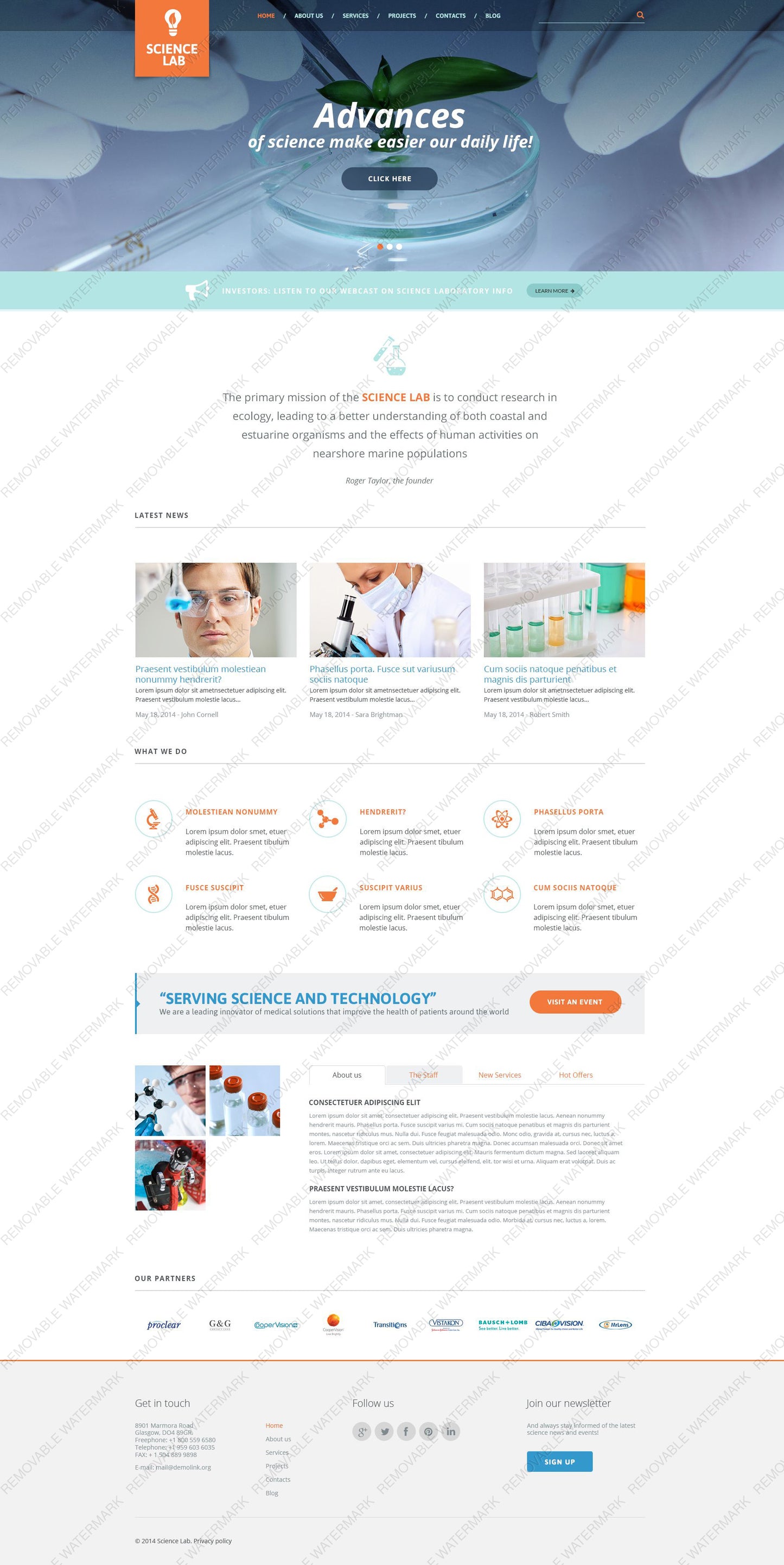 WordPress Themes - GoWebBaby.Com