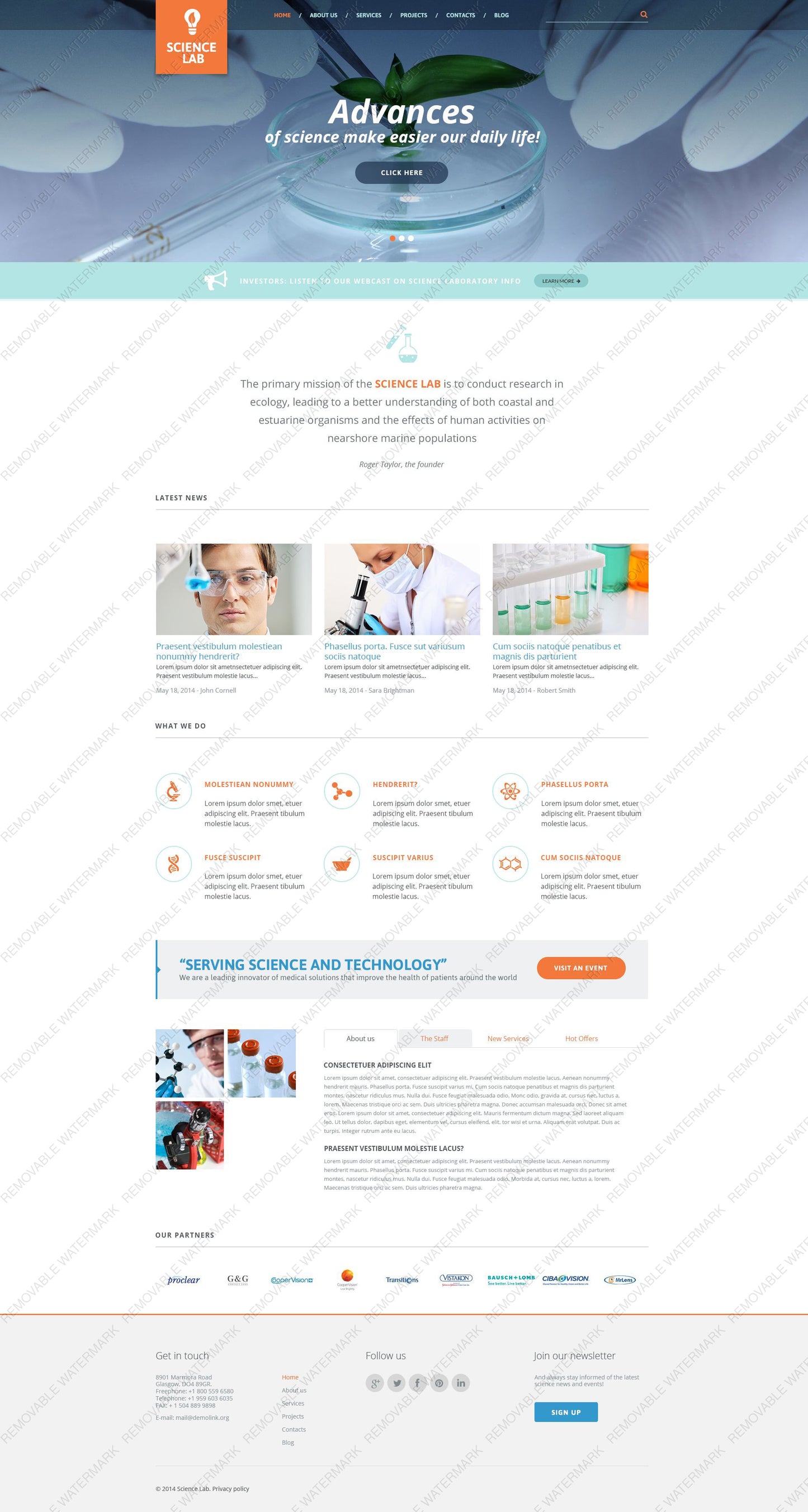 WordPress Themes - GoWebBaby.Com