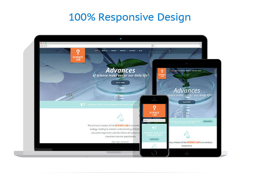 WordPress Themes - GoWebBaby.Com