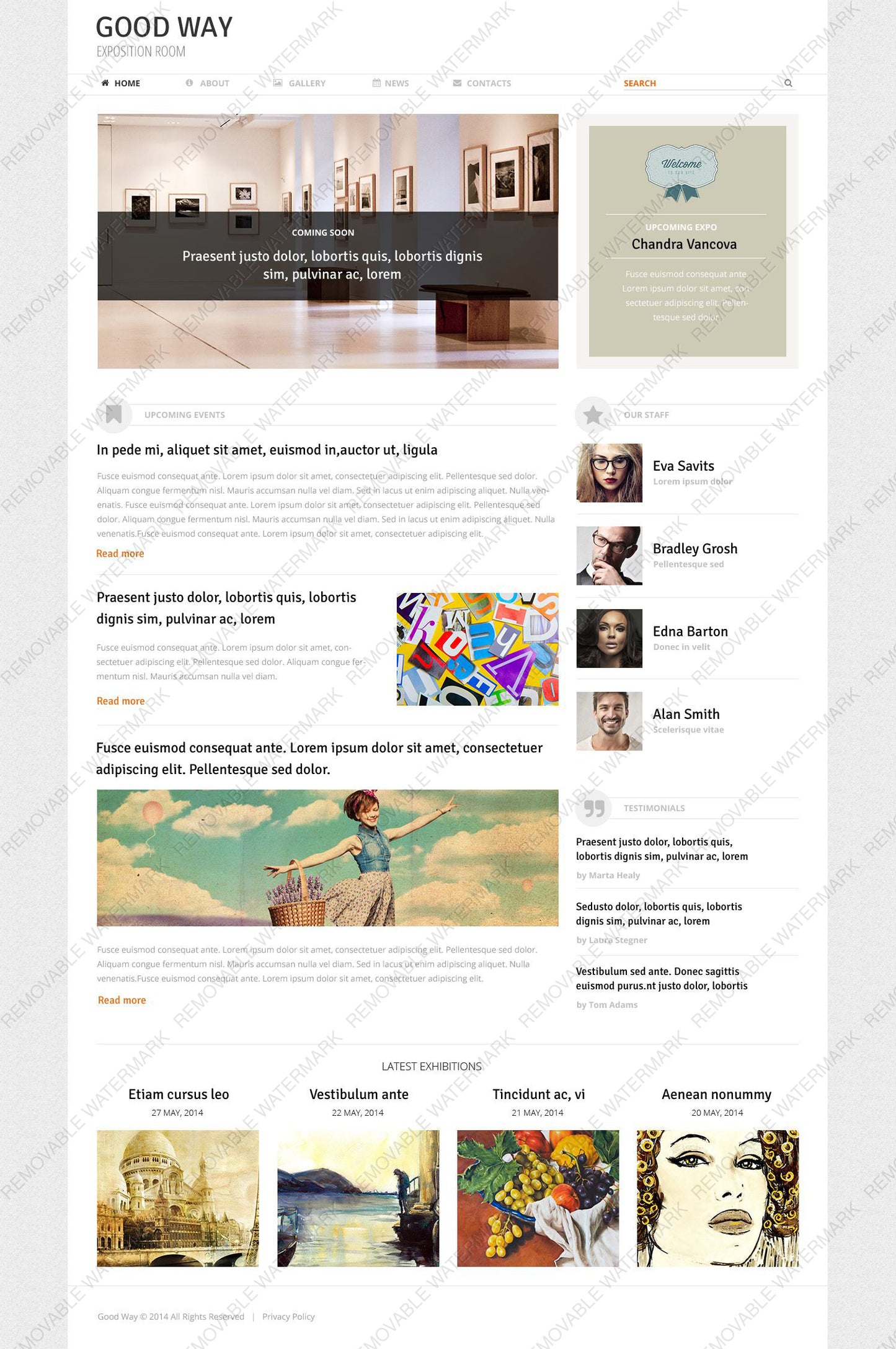 WordPress Themes - GoWebBaby.Com